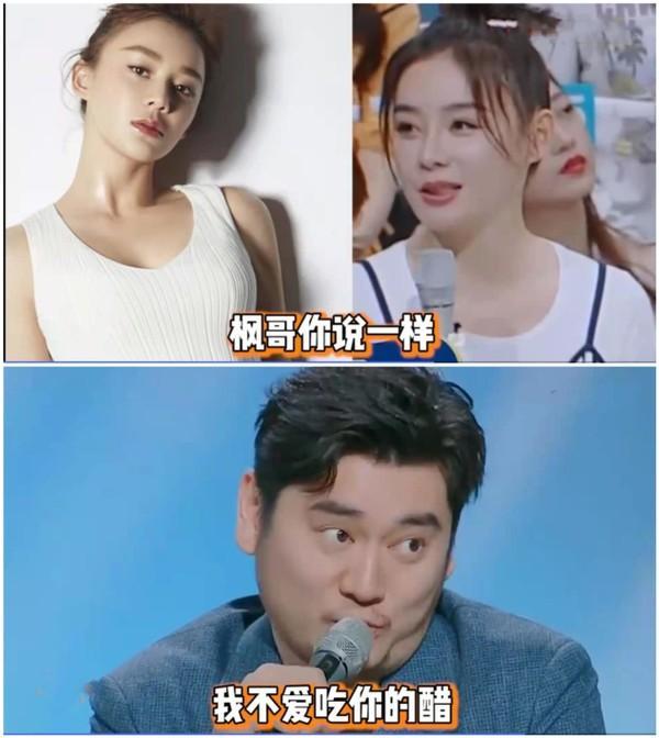 為什么說袁姍姍丑(袁姍姍為什么不火了)