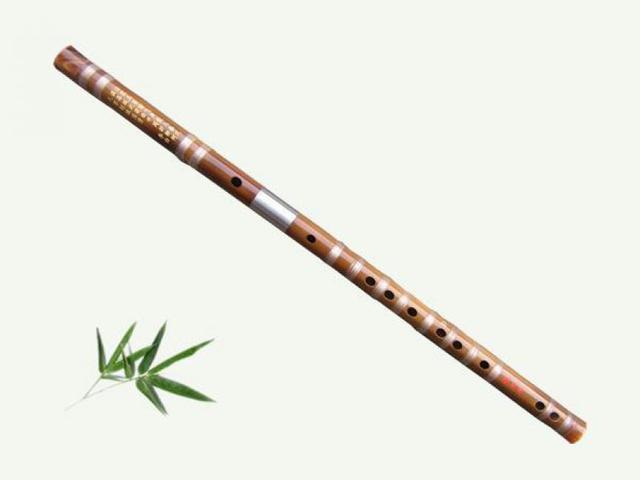 中國古典樂器有哪些種類(中國十大傳統(tǒng)樂器有哪些 )