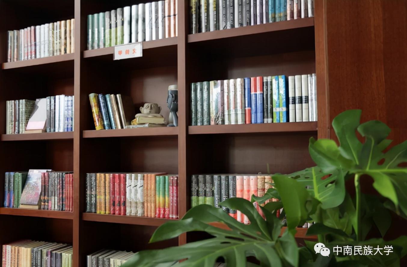 中南民族大學(xué)圖書館(中南民族大學(xué)校內(nèi)雙子塔圖書館)