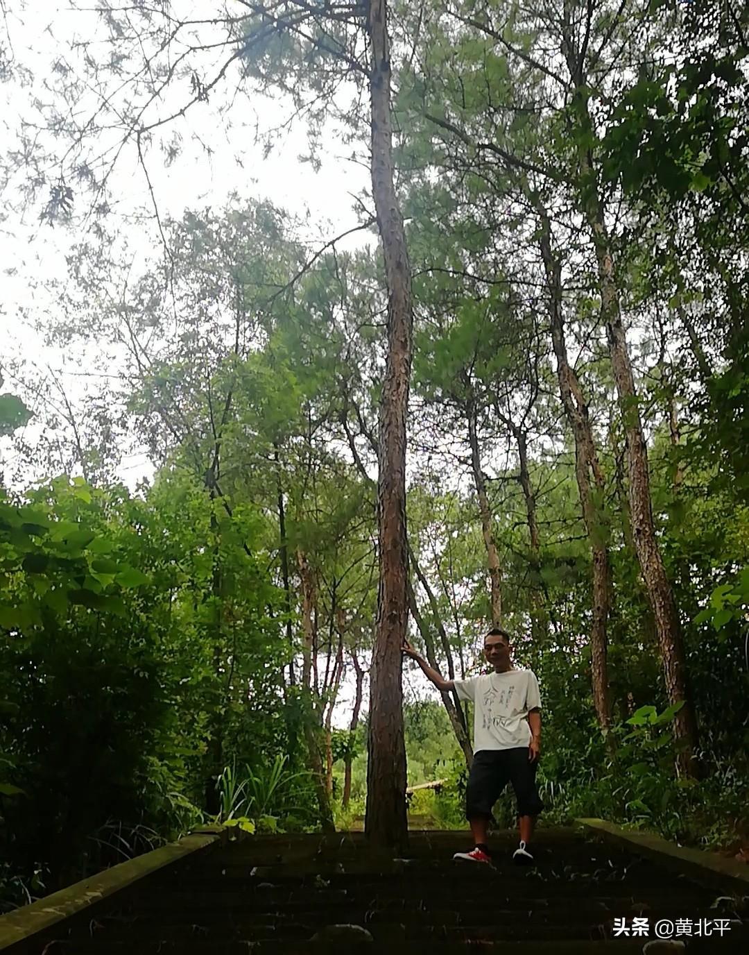 重慶主城哪里可以爬山的地方（重慶主城爬山最值得去的山）