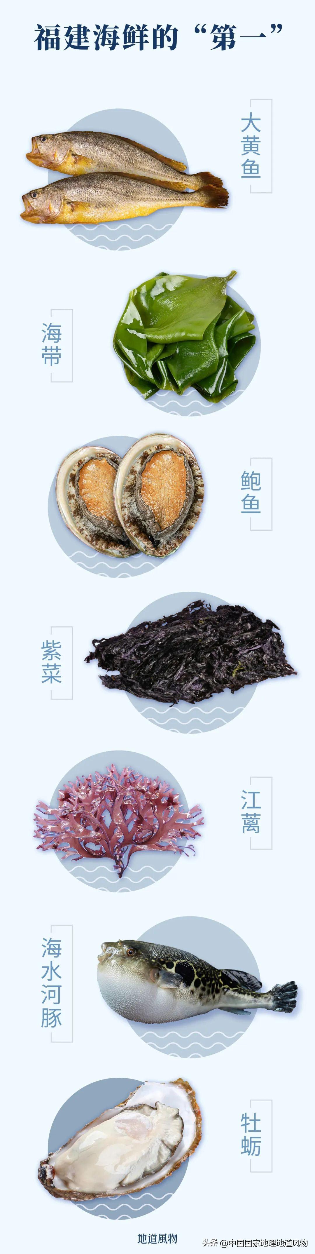 中國海鮮美食城市排名(吃海鮮最便宜的城市)