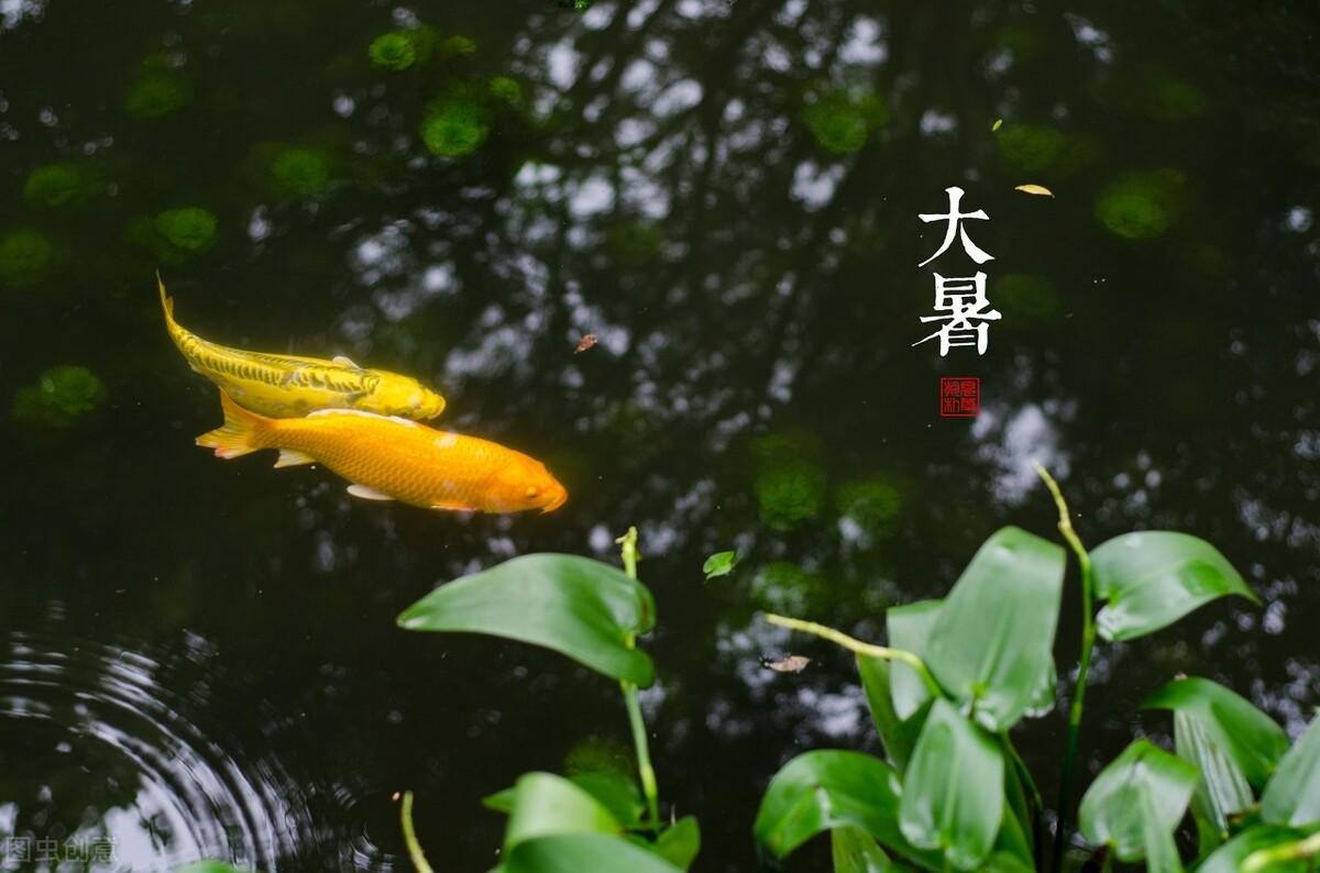 中國最涼快的十大城市(中國最涼爽的城市排名)