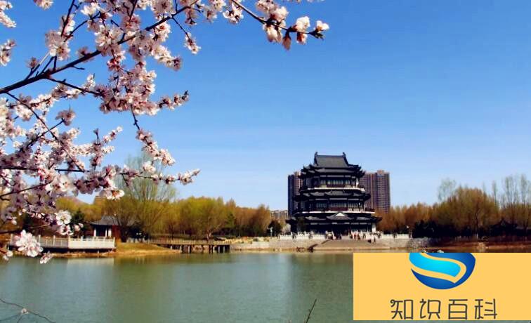 山西省大同市氣候特征是什么(越早知道越好)