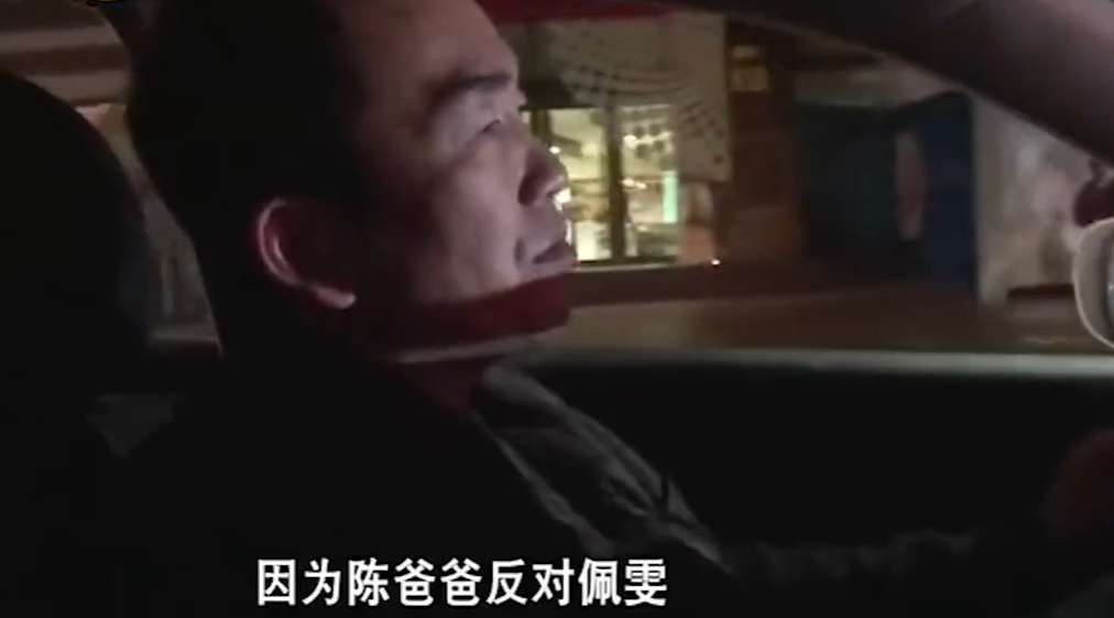 變形記陳佩雯是哪一期(陳佩雯個(gè)人資料 )