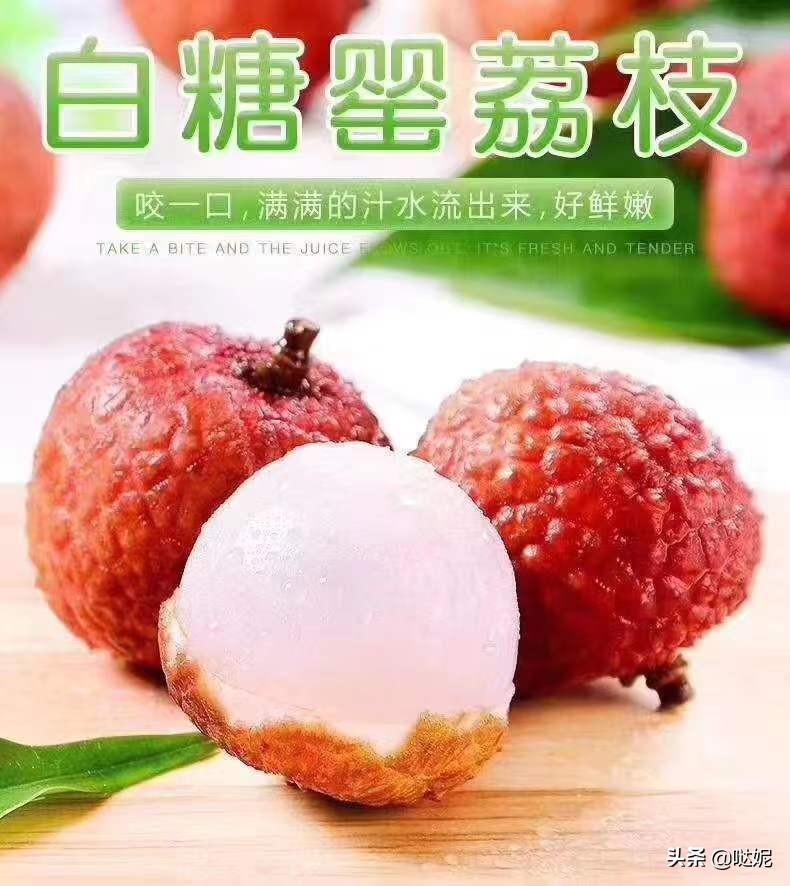 中國荔枝之鄉(xiāng)是哪個城市(中國三大荔枝產(chǎn)地)