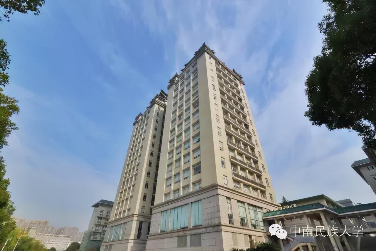 中南民族大學(xué)圖書館(中南民族大學(xué)校內(nèi)雙子塔圖書館)
