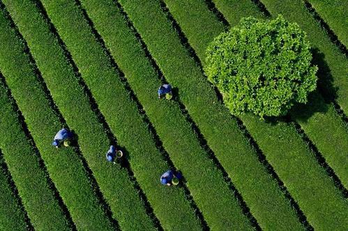 利比亞2022年現(xiàn)狀及勢(shì)力分布圖(現(xiàn)在去利比里亞安全嗎)