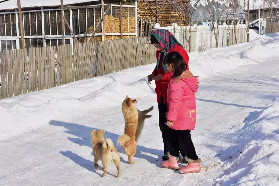 中國雪鄉(xiāng)在哪個(gè)城市及成因(怎么去雪鄉(xiāng)最方便)