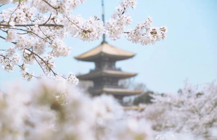 中國熱門城市排名(中國熱門城市有哪些)
