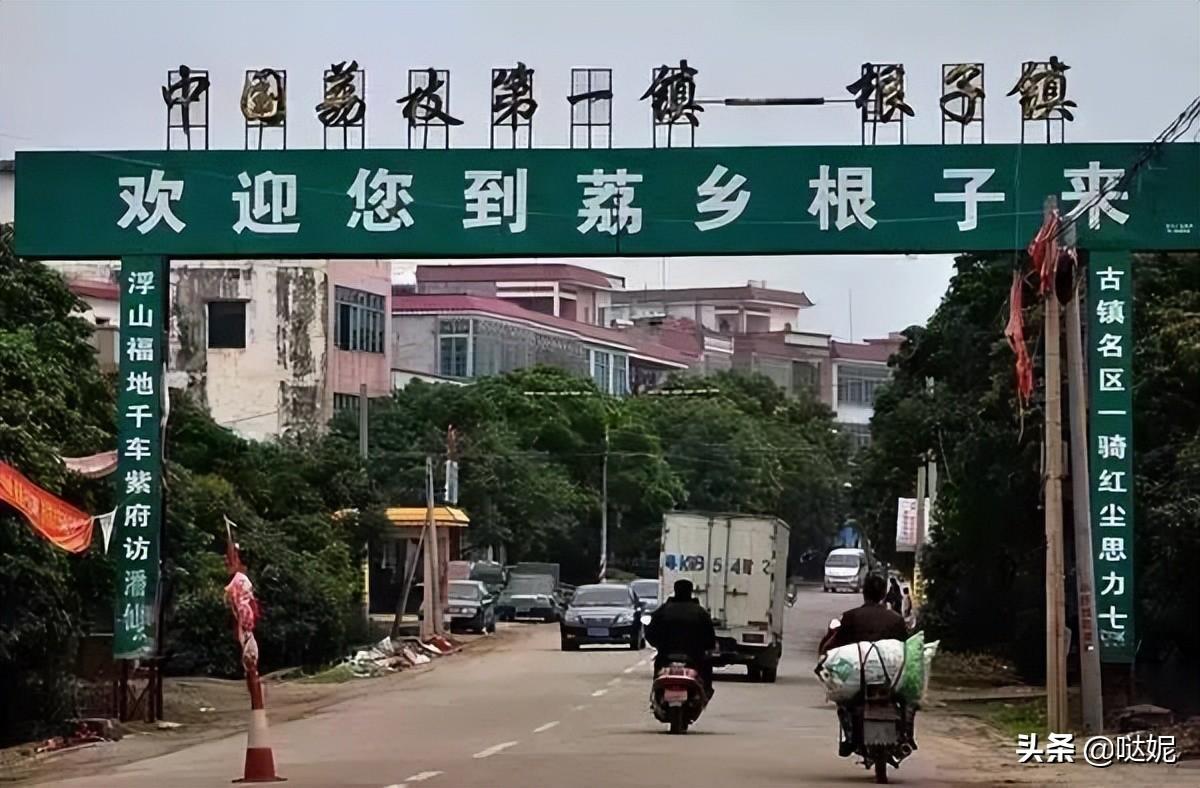中國荔枝之鄉(xiāng)是哪個城市(中國三大荔枝產(chǎn)地)