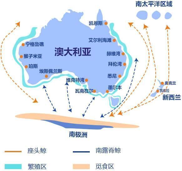 中國十大不友好國家排名(我國最討厭的國家排名)