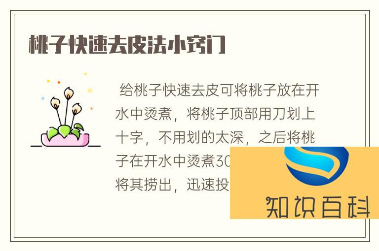 桃子快速去皮法小竅門(mén)