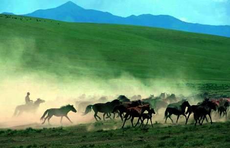 竇憲和霍去病誰厲害(竇憲簡介 )