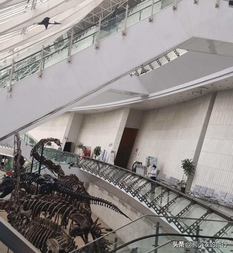 中國四大博物館是哪四個(全國最值得去的博物館排名)