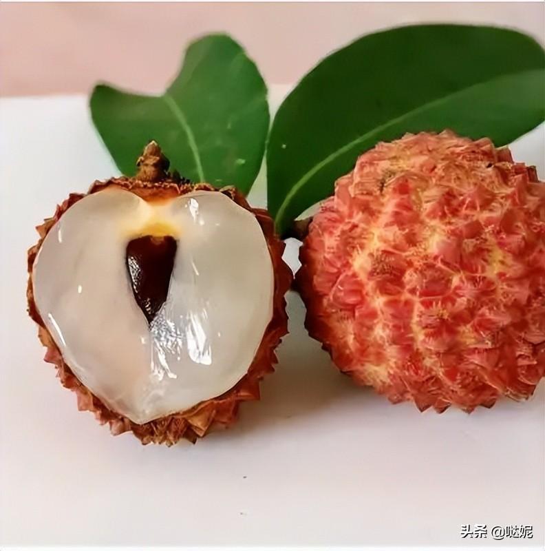 中國荔枝之鄉(xiāng)是哪個城市(中國三大荔枝產(chǎn)地)
