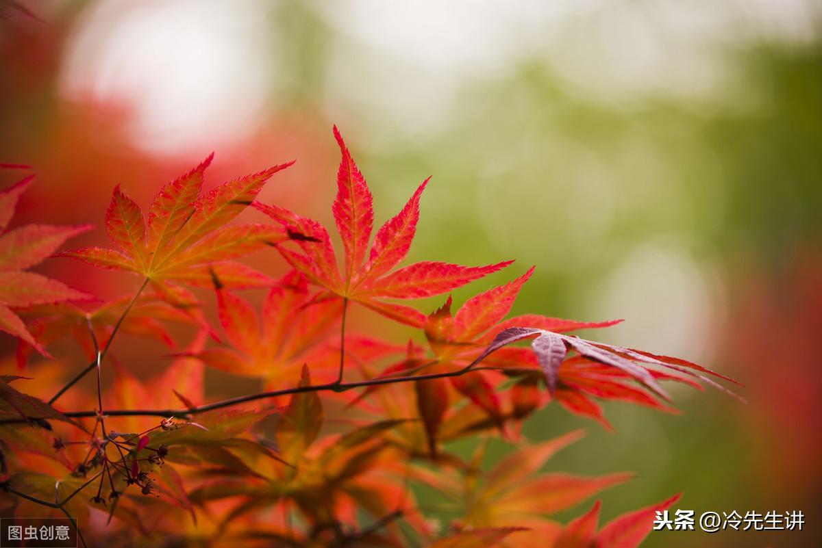 祝英臺和梁山伯民間故事簡介(祝英臺和梁山伯故事內容縮寫)