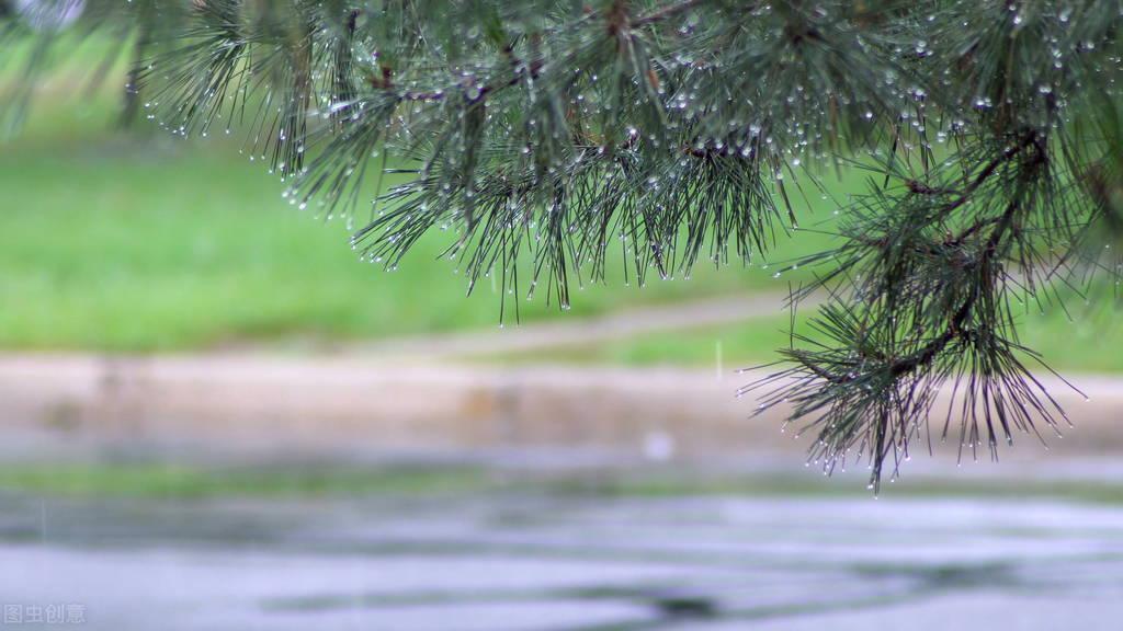 抖音上最火的下雨說說精選「27句推薦」