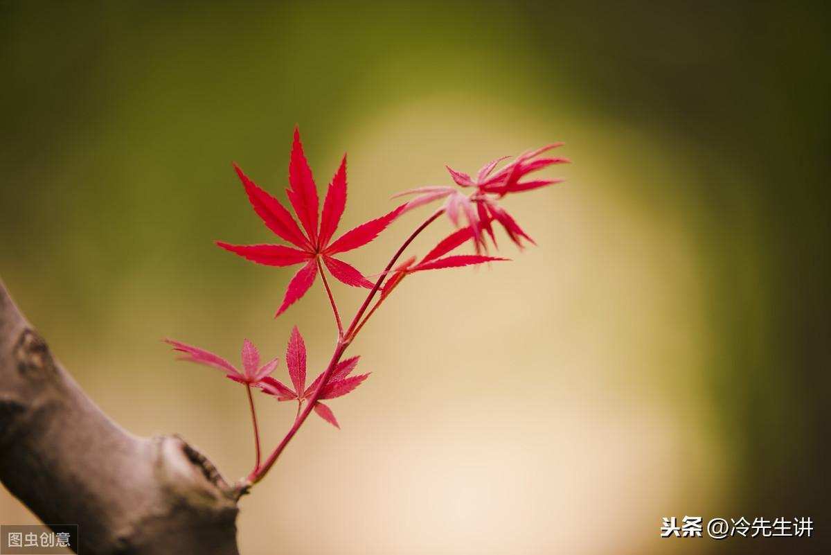 祝英臺和梁山伯民間故事簡介(祝英臺和梁山伯故事內容縮寫)