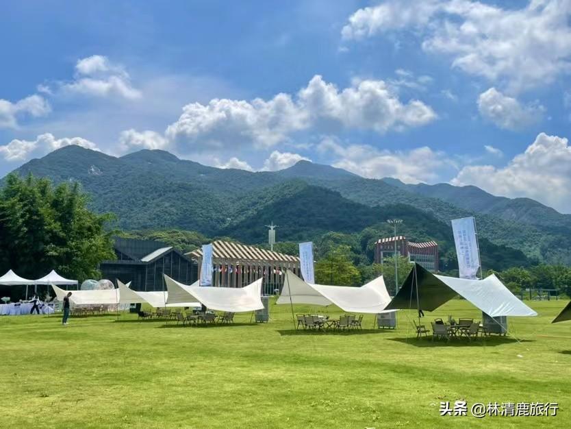 中國夏天最涼快的城市是哪里(中國最適合避暑的城市排名)