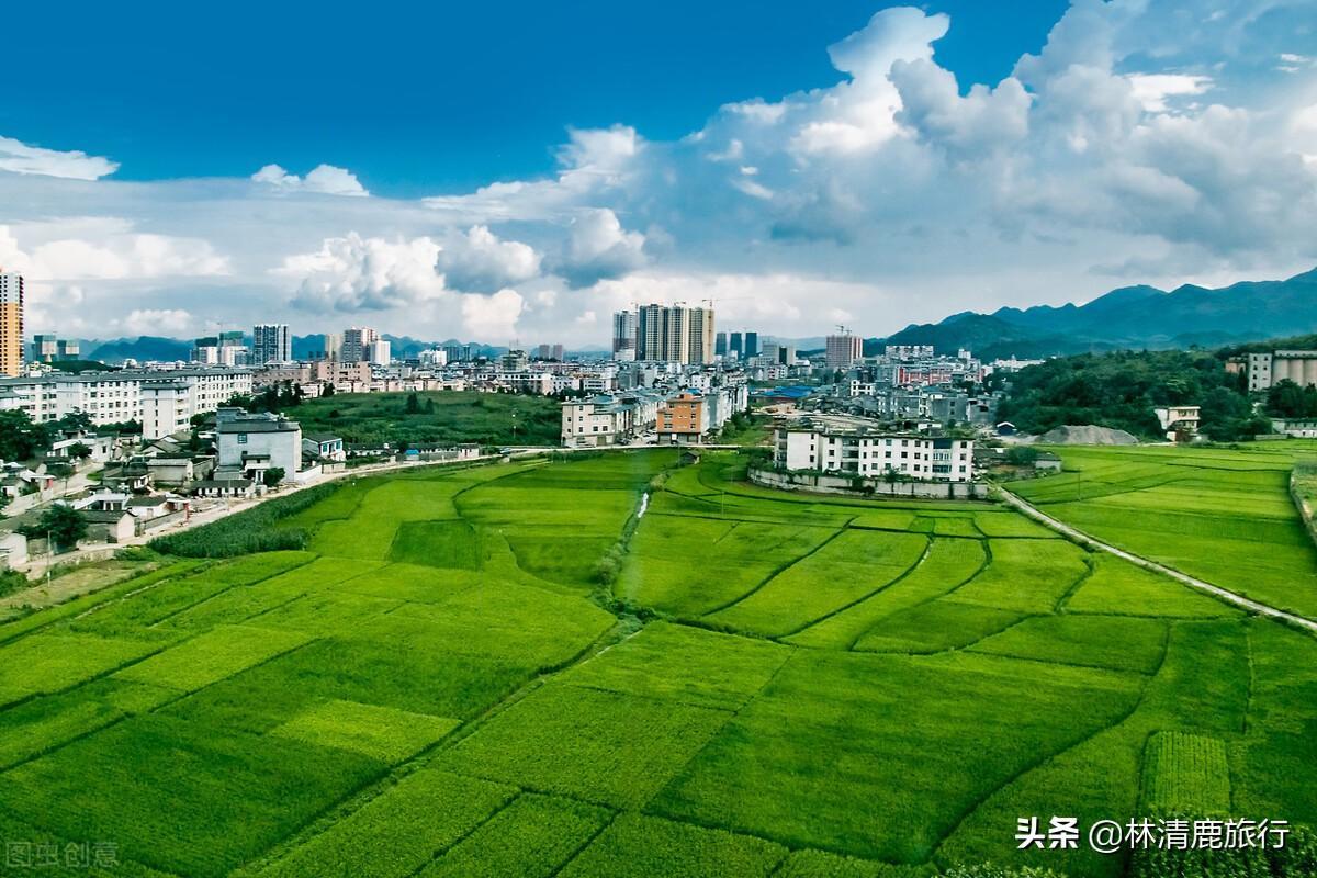 中國夏天最涼快的城市是哪里(中國最適合避暑的城市排名)