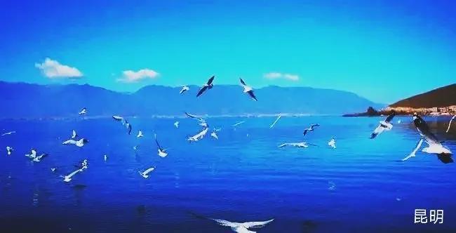 中國十大休閑城市(國家級旅游休閑城市排名)