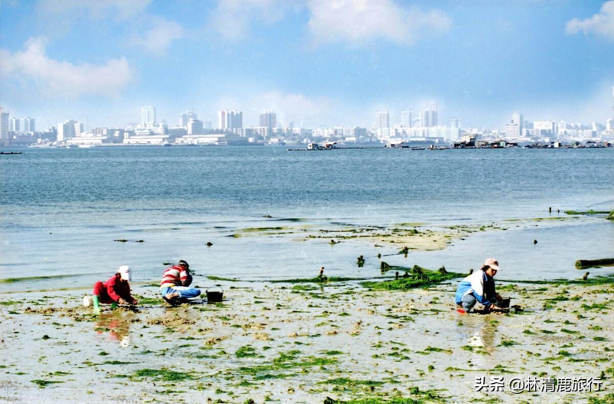 中國適合冬天旅游的城市有哪些(中國最適合冬天旅游的城市)