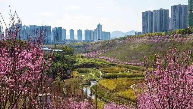 重慶大平層豪宅排名榜(重慶大平層十大豪宅)