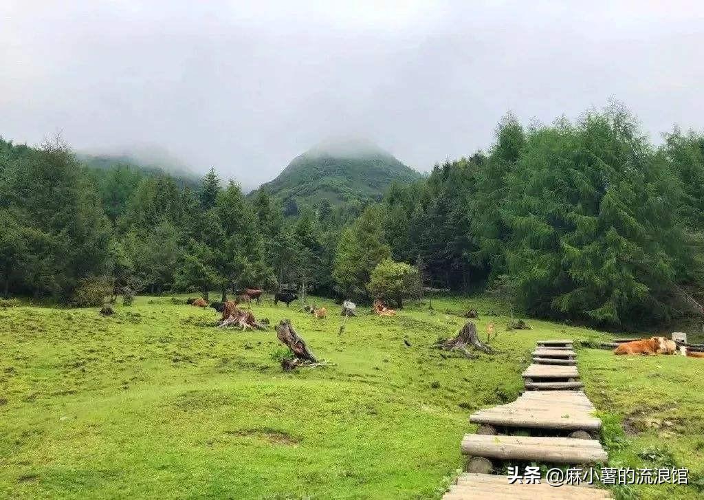 中國雨最多的城市排名(雨天最多的城市排行榜)