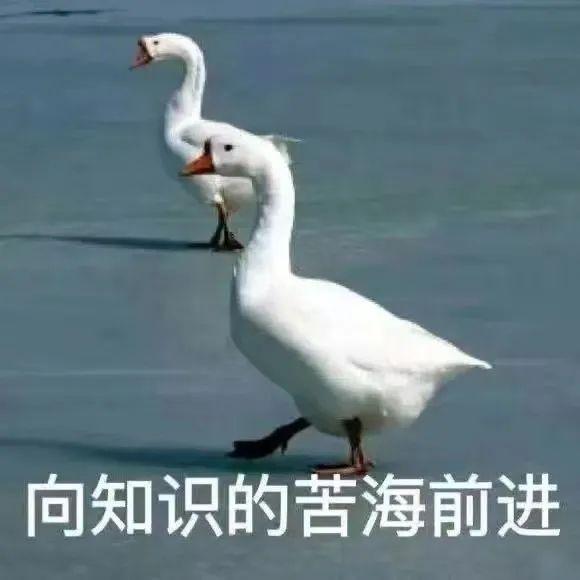 中國(guó)古典樂(lè)器有哪些(中國(guó)樂(lè)器大全及圖片)