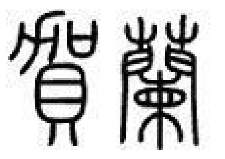 中國(guó)最尊貴的復(fù)姓有哪些(中國(guó)血統(tǒng)最高貴的復(fù)姓)