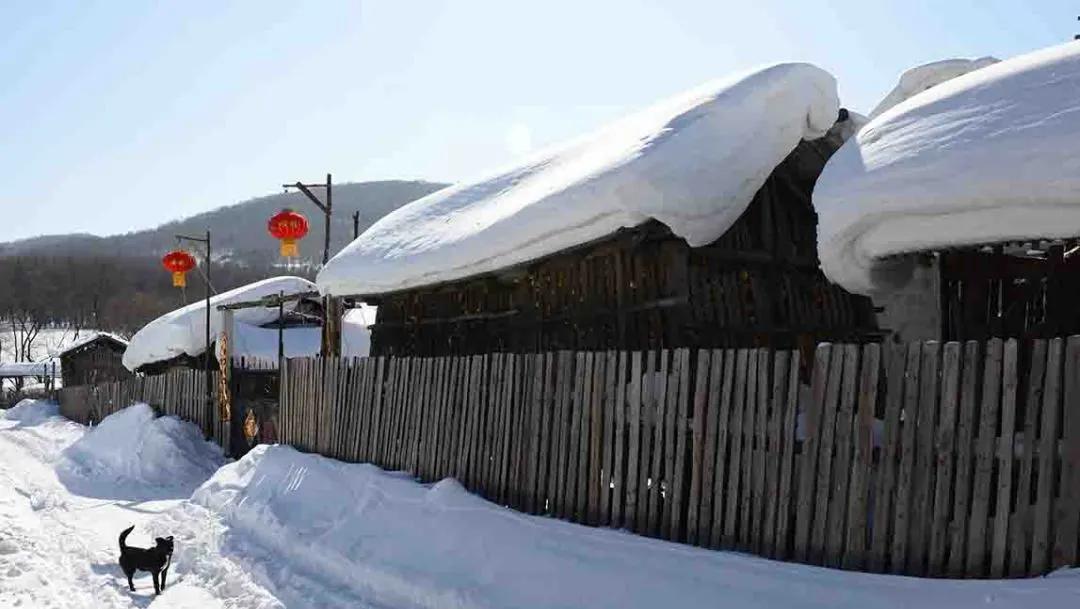 中國雪鄉(xiāng)在哪個(gè)城市及成因(怎么去雪鄉(xiāng)最方便)