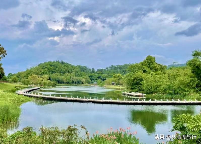中國夏天最涼快的城市是哪里(中國最適合避暑的城市排名)