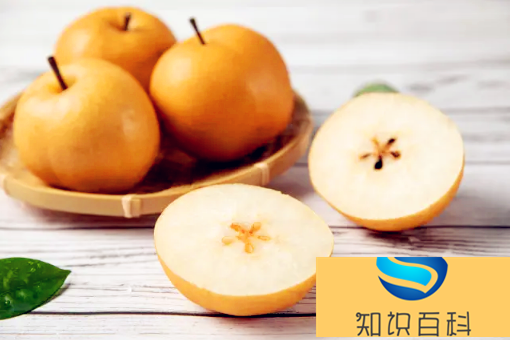 秋月梨和梨子哪一個止咳效果好