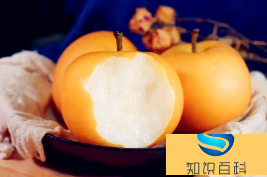 秋月梨和梨子哪一個止咳效果好