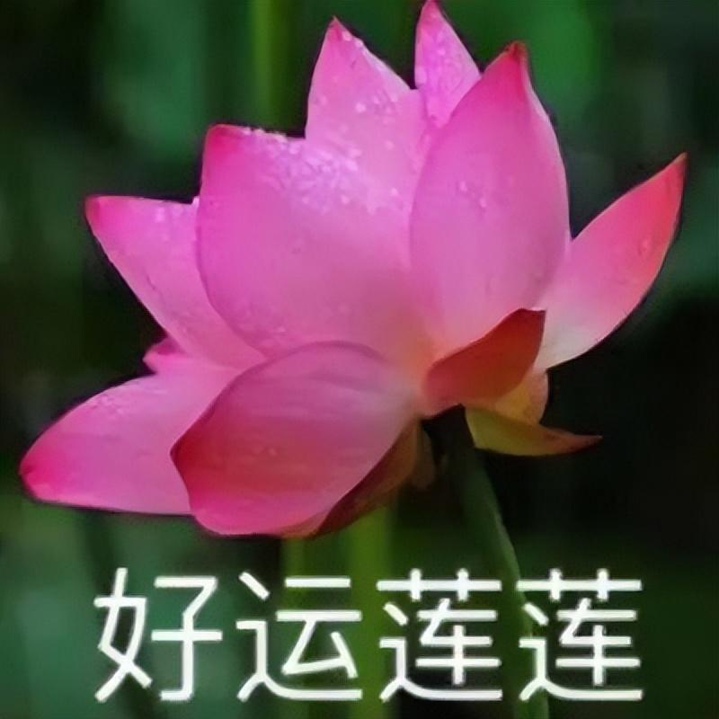 千萬不要激活醫保電子憑證 小心“醫保電子憑證”新騙局