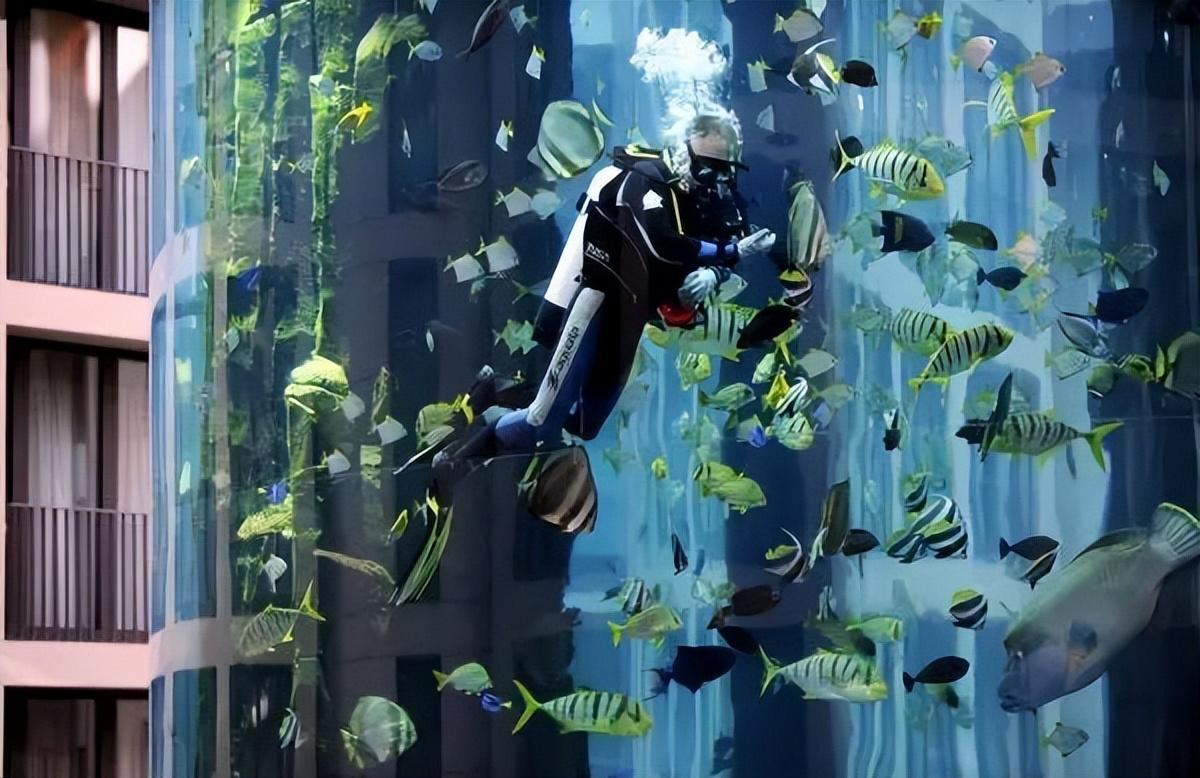 世界最大獨立圓柱體水族館爆裂，制造商介入調查