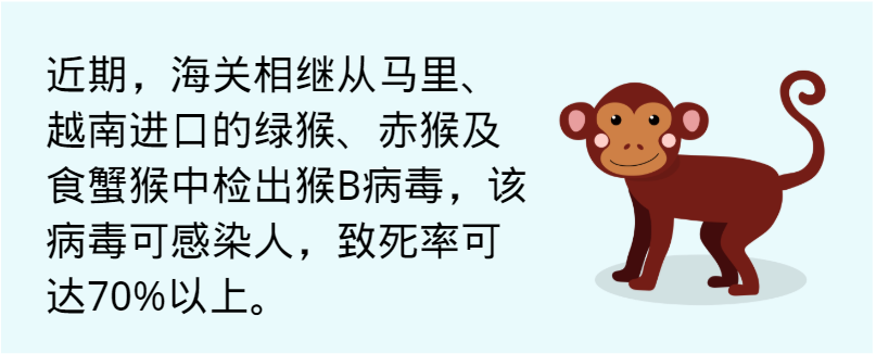 猴子的b是什么樣（帶你了解猴B病毒）