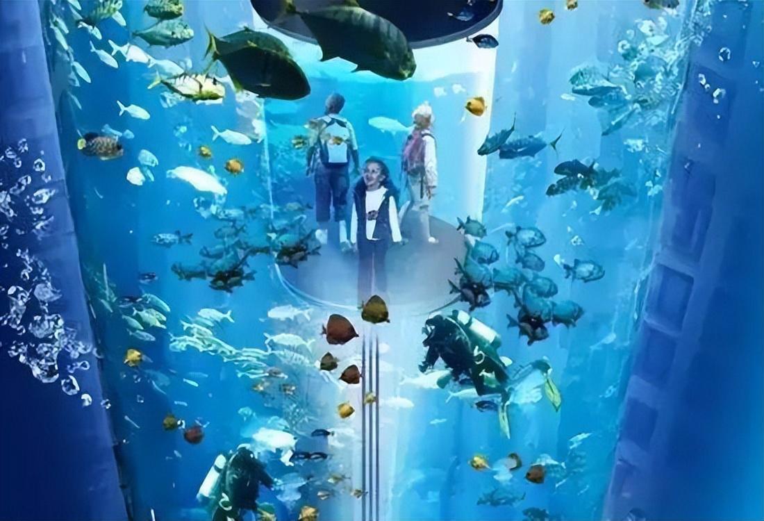 世界最大獨立圓柱體水族館爆裂，制造商介入調查