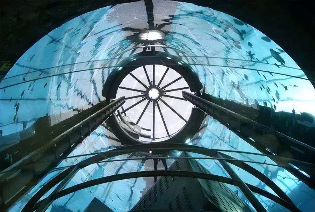 世界最大獨立圓柱體水族館爆裂，制造商介入調查