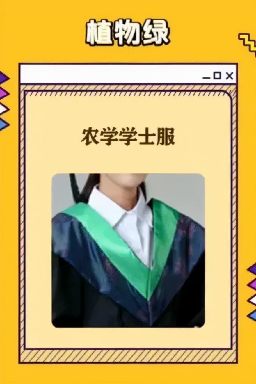 學士服顏色分類(學士服領口的顏色含義)
