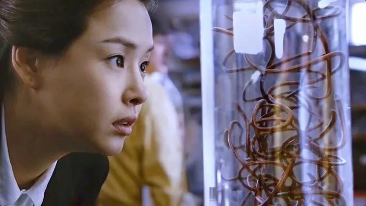 災(zāi)難片排行榜前十名電影(視覺震撼的10部災(zāi)難電影)
